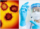 Anti-parasitic drug kills COVID-19 virus in lab grown cells: Study
