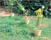Pilikula Nisargadhama goes back in time for green ideas