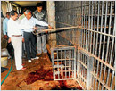 Pilikula mourns as ‘Raja’ kills caretaker