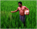 Use of pesticides in agriculture and growing incidence of cancer Use of pesticides in agriculture and growing incidence of cancer