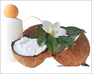 Coconut oil may prevent tooth decay Coconut oil may prevent tooth decay