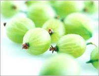 Health benefits of Amla (Indian Gooseberry)
