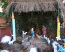 Christmas Cribs Come Alive in Mangalore