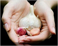 A garlic a day for good health A garlic a day for good health