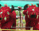 M’lore: Kadri Park comes alive as Annual Flower Show begins