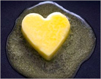 What is the difference between cholesterol and fat? What is the difference between cholesterol and fat?