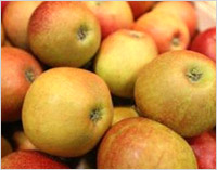 7 best foods for weight loss 7 best foods for weight loss