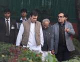 Ready for whatever Congress wants me to do: Rahul