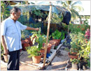 Terrace gardening is fast catching up in Mangalore