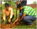 Vanamahotsava and Shramadhana Observed in Pamboor