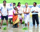 Udupi: Rotary Shankarapura organizes paddy sapling planting competition for rural women