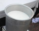 Bangalore: Milk to cost more as KMF facing losses