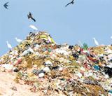 Bangalore to be zero-garbage city in six months