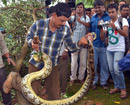 Manipal: Python caught and handed over to forest dept