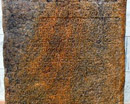 Udupi: Vijayanagar inscriptions found in Saligrama