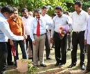 M’lore: Nursing few plants in backyard will realize aim of World Environment Day - Dinesh Naik