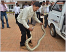 Manipal: Python gets into car near D.C. Office