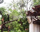 Kundapur: Incessant Rains leaves Trail of Havoc across Taluk