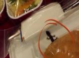 Shocking! Lizard spotted in Air India flight meal