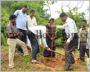 Moodubelle: Forest Department along with Lions Club organizes  sapling plantation by the roadside