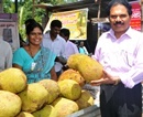 Mangalore: City-Folks Relish taste of delicious Jackfruits at 4th Annual Fest