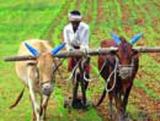 CAG finds lapses in Rs 52,000-cr farm debt waiver scheme