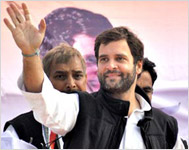 New Delhi: No plan to marry or have kids: Rahul