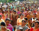 Palm Sunday observed with great devotion in the Udupi District