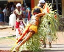Udupi: ‘Pili Kola’ a worship of nature