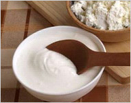 A mouthful of curd for good health A mouthful of curd for good health
