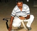 Hassan:  Cobra Ventured into Inhabited Area Rescued
