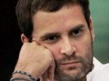 Rahul’s ’advisers’ face heat as Cong searches for answers