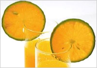 Top five summer coolants Top five summer coolants