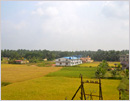 Splendid view of Golden Paddy and pleasing topography from Mangalore-Madgaon Intercity Express