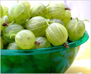 Eat gooseberry to keep diseases at bay