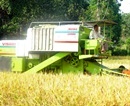 Udupi: Mechanized Harvesters arrive in Moodubelle, to augment Labor Shortage