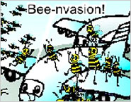 Honeybees ‘hijack’ 3 planes at new airport terminal