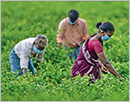 Are the agriculture reforms pro-farmer or anti-farmer? Are the agriculture reforms pro-farmer or anti-farmer?