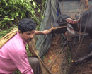 Mangalore: Public Beat-up Illegal Cattle Transporters at Kudupu