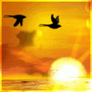 to all my friends and bellevision veiwers to all my friends and bellevision veiwers